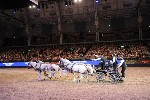Extreme - 00956